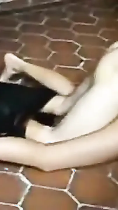 Sexually excited college girl enjoys hardcore sex with her ally