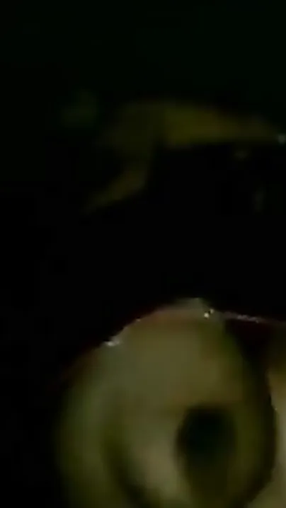 Bulky office girl gives an excellent oral to her boss