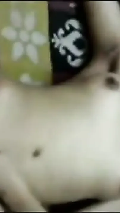 Perverteds college guy satisfies his girlfriends constricted muff