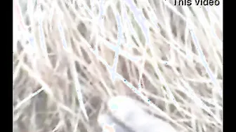 Telugu Aunty Getting Fucked Raw In The Fields By Her Man