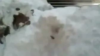 Catching My Aunty Bathing Naked In The Open Backyard Today