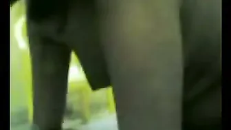 Bangla Aunty Sneaking Next Door For A Quick Fuck With Me