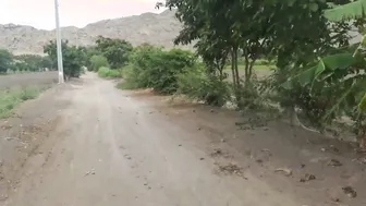 Aunty Gets Her Ass Fucked Rough After Family Picnic Trip