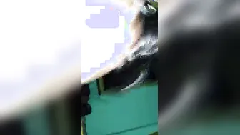 Wife Sucking My Dick At Home While Parents Are Away Tonight