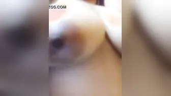 Stroking Hard Watching These Massive Desi Tits Bouncing