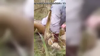 Village Wife Fucking Outdoors Caught On Camera In Private Moment