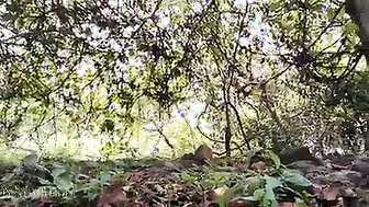 GF Getting Her Pussy Pounded Outdoors In Amateur Desi Tape