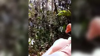 Teen GF Showing Pink Pussy Outdoors Risky Exhibition