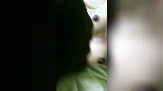South Indian Slut Getting Her Pussy Destroyed Hardcore