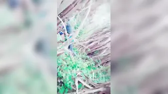 Village Whore Riding Client Outdoors Caught By Hidden Spy Camera