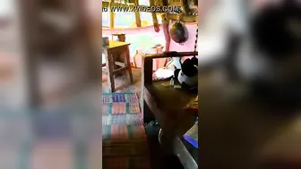 South Indian Milf Revealing Her Big Soft Tits On Camera Today