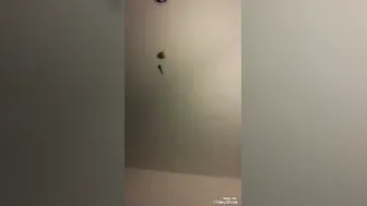 Tamil Babe Moaning Loud While Getting Pounded Hard From Behind