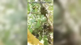 Desi Village Slut Spreading Her Pussy In The Fields For Everyone