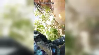 Desi Village Slut Spreading Her Pussy In The Fields For Everyone