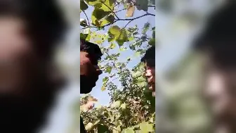 Desi Village Slut Spreading Her Pussy In The Fields For Everyone