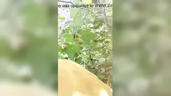 Desi Village Slut Spreading Her Pussy In The Fields For Everyone