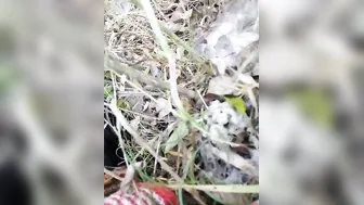 Fingering My Dehati GF Wet Pussy In The Fields