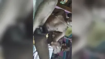 Bengali Lovers Fucking Passionately In Homemade Sex Tape