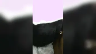 Desi Girl Sucking Her Lover In Private Leaked Mms Clip Today