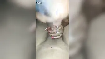 Newly Married Desi Bride Pleasuring Hubby On Wedding Night Mms