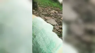 Lovers Caught On Camera Blowing Him Outside In Public Park