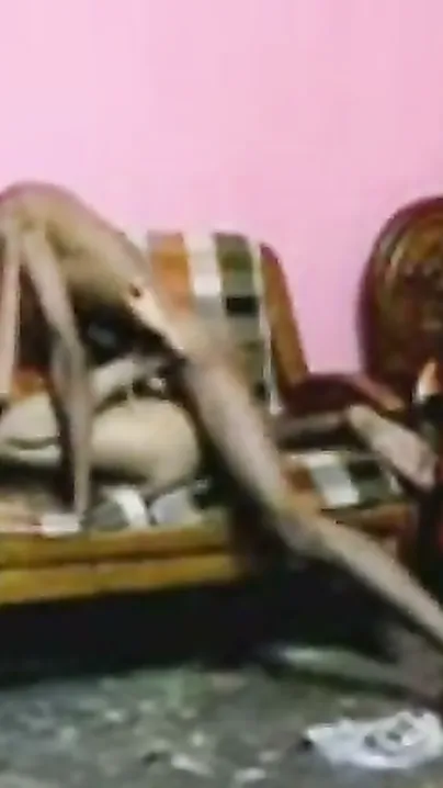 Hidden Cam Catches Desi Couple Fucking Passionately At Midnight