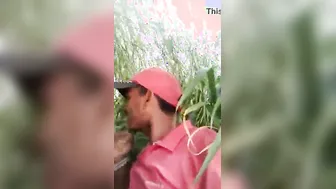 Group Fucking In The Fields With My GF And Her Friends