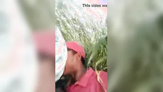 Group Fucking In The Fields With My GF And Her Friends