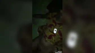 Desi Maid Sucking And Riding Her House Owner After Work Hours