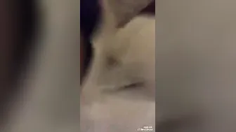 Office Slut Fucking Her Boss In Cheap Hotel Room After Drinks