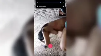 GF Getting Pounded Live On Cam For Fans Watching Online