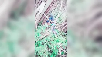 Local Slut Getting Caught Fucking Outdoors On Hidden Cam