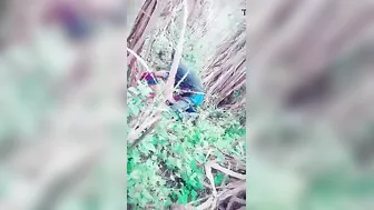 Local Slut Getting Caught Fucking Outdoors On Hidden Cam