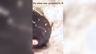 Village Girl Flashing Wet Pussy Outdoors In Homemade Dehati Clip