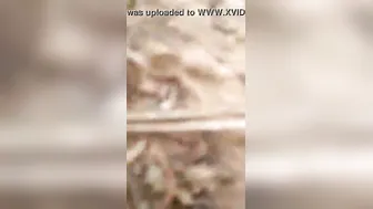 Village Girl Flashing Wet Pussy Outdoors In Homemade Dehati Clip