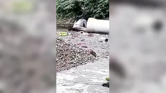 Mature Dehati Couple Secretly Filmed Getting Wild In Bedroom