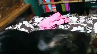 Horny Couple Fucking Raw On Camera Moaning Loud And Hard Nonstop
