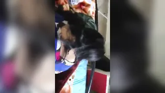 Naughty Bhabhi Sucking Devar Thick Dick Till He Cums In Mouth