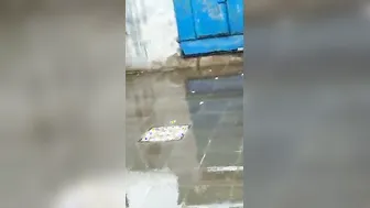 Punjabi Bhabhi Getting Pounded Hard After Bathing In The Rain