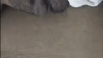 Newlywed Bhabhi Enjoying Passionate Sex With Horny Husband