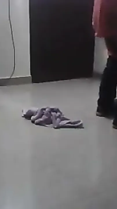 Delivery Guy Fucking Lonely Housewife While Husband Watches