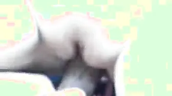 Cheating Indian Wife Secretly Fucking Neighbor While Hubby Away