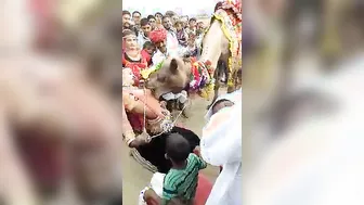 Desi Village Wife Getting Her Breasts Sucked In The Barn