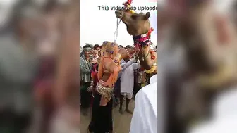 Desi Village Wife Getting Her Breasts Sucked In The Barn