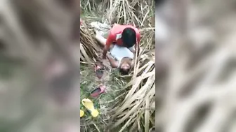 Village GF Fucking BF Behind Farm Fields Quietly