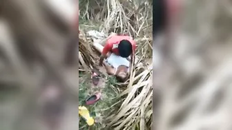 Village GF Fucking BF Behind Farm Fields Quietly