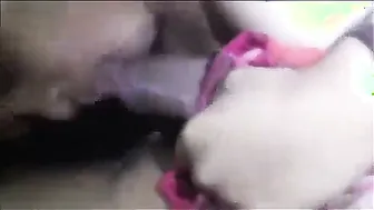 Blowjob Turns Into Wild 69 Oral Sex With My Horny Young GF