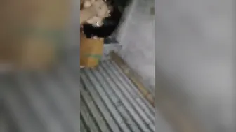 Young Married Couple Fucking Wild Their Private Video Goes Viral