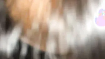 Desi Bhabhi Sneaking Devar Into Room For Secret Blowjob Session