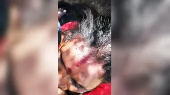 Village Slut Sucking Client Outdoors Behind Local Market Area
